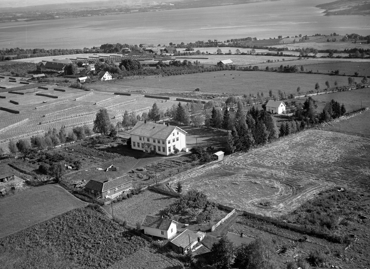 Anno Domkirkeodden, Flyfoto, skole, Årengen med skolehagen, landbruk, Mjøsa,, Nes, Hedmark. Balstad gård i bakgrunn.