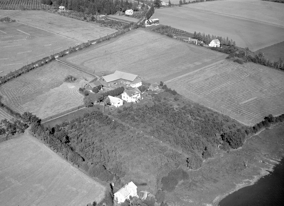 Anno Domkirkeodden, Flyfoto, gardsbruk, Frydenlund, Nes, Hedmark.