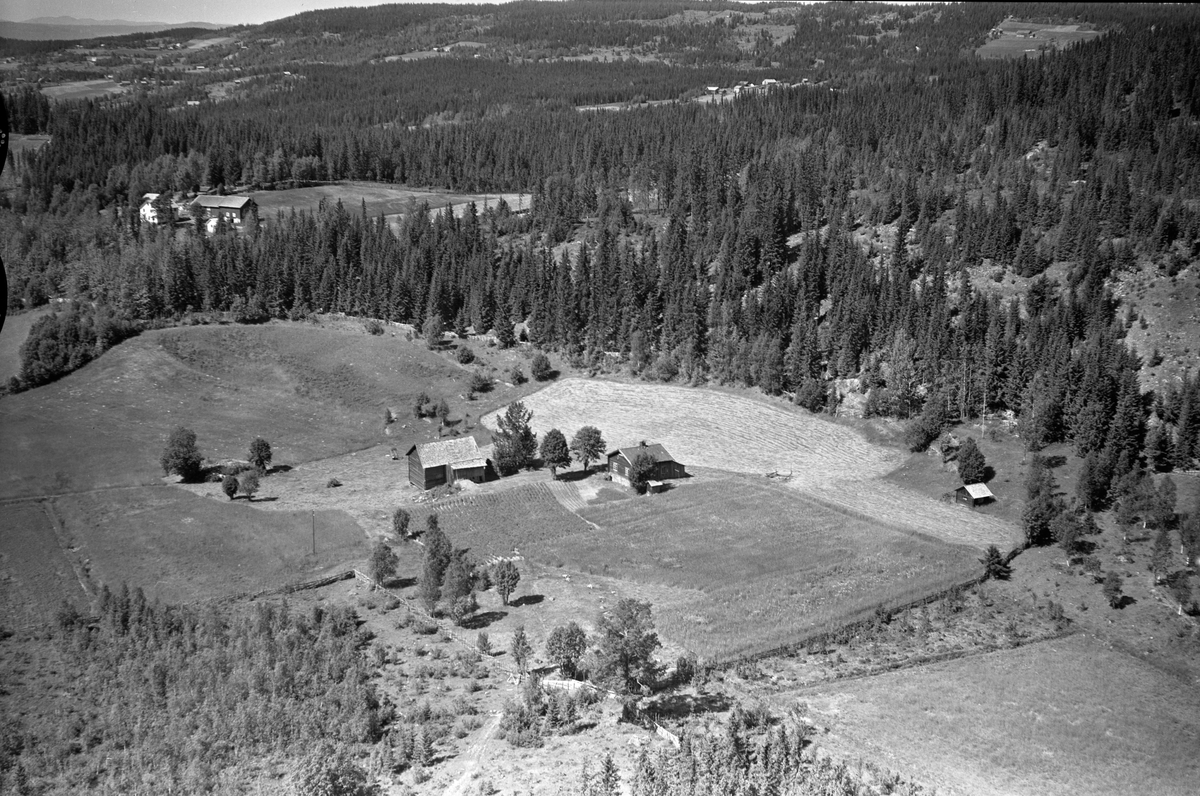 Anno Domkirkeodden, Flyfoto av ukjent gard, Lismarka, Ringsaker.