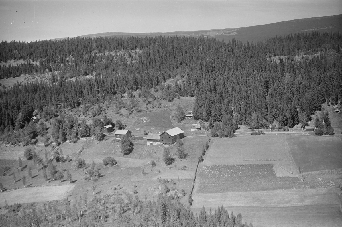 Anno Domkirkeodden, Flyfoto av Sæterbakken vestre, Lismarka, Ringsaker.