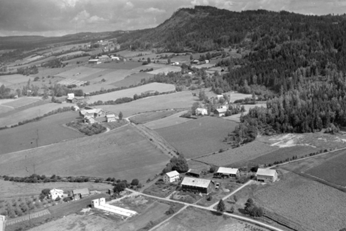Anno Domkirkeodden, Flyfoto av Børke gard, Veldre, Ringsaker.