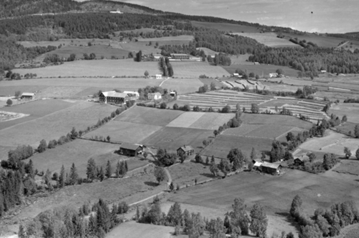 Anno Domkirkeodden, Flyfoto av Ødegården, Stokkset og Lier, Furnes, Ringsaker.