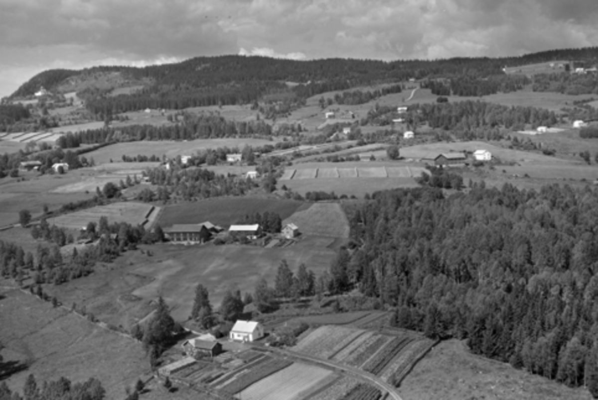 Anno Domkirkeodden, Flyfoto av Haugersveen, frk. Hauglis gartneri, Furnes, Ringsaker.