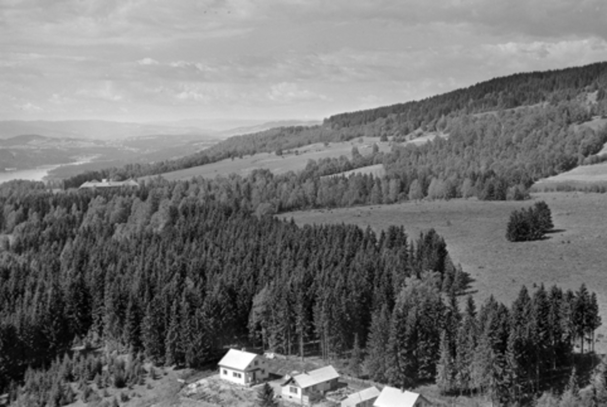 Anno Domkirkeodden, Flyfoto, Barli og Granbo. Hamninga til Skjellungberg ovenfor villaene. Furnes, Ringsaker.