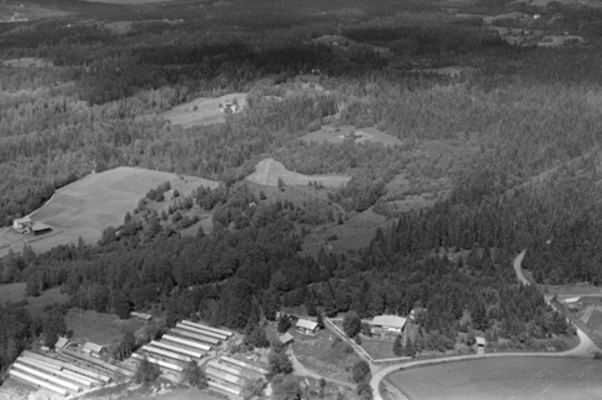 Anno Domkirkeodden, Flyfoto Kylstad vestre, Furnes, Ringsaker. Pelsdyrfarm.