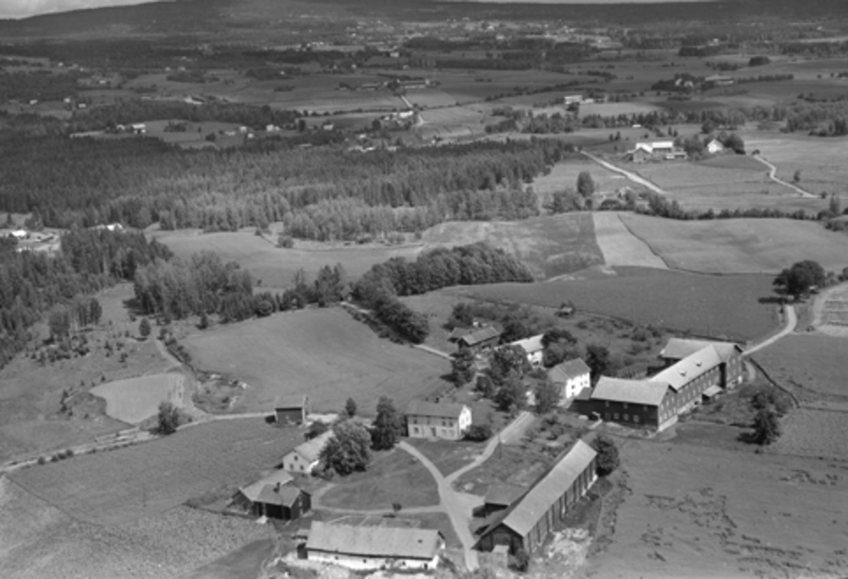 Anno Domkirkeodden, Flyfoto av Doglo østre og vestre, Furnes, Ringsaker.