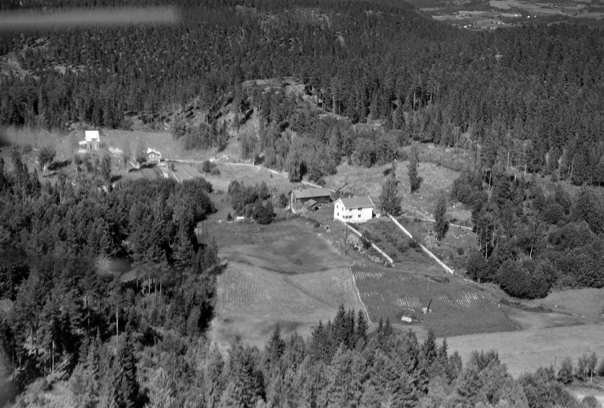 Widerøes Flyveselskap A/S, Flyfoto av småbruket Sterti, Ringsaker. I Sterti vokste min mor, Edith Finskud, født Amundsen, opp. Hun er født 13. 06. 1933 og er yngst av 12 barn av Martin og Olave Amundsen. Er usikker på når Martin og Olave flyttet dit, men de bodde der til helt på slutten av 1970 tallet. Eldste sønn Arvid over…