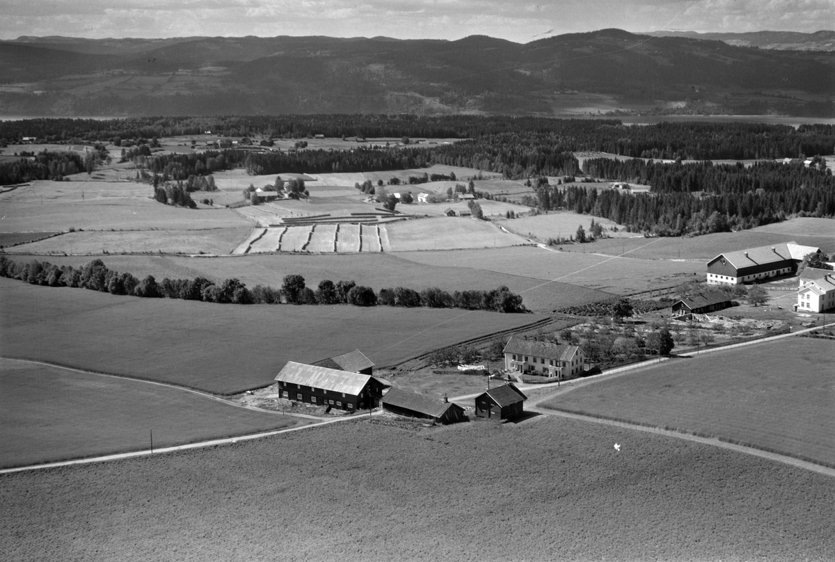 Widerøes Flyveselskap A/S, Flyfoto av Sør-Holo og Midt-Holo, Gaupen, Ringsaker.