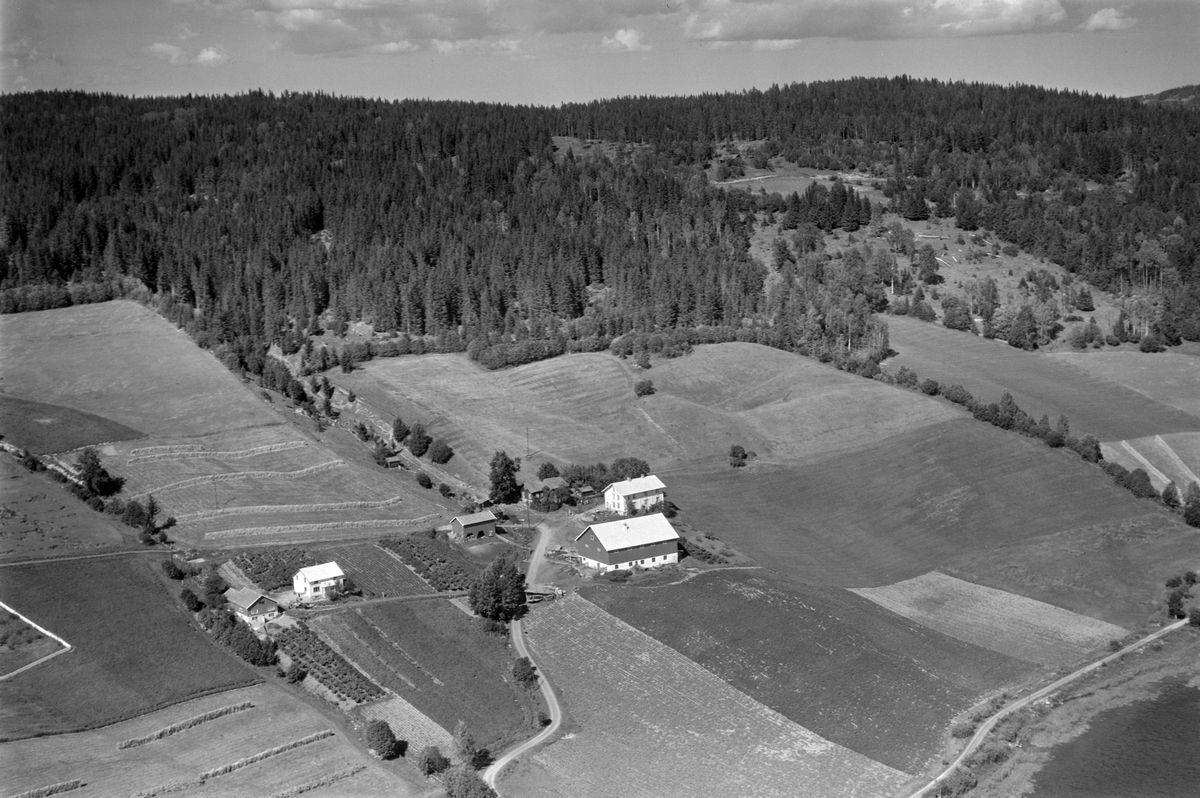 Widerøes Flyveselskap A/S, Flyfoto av Hovelsrud, Stavsjø, Hedmark.