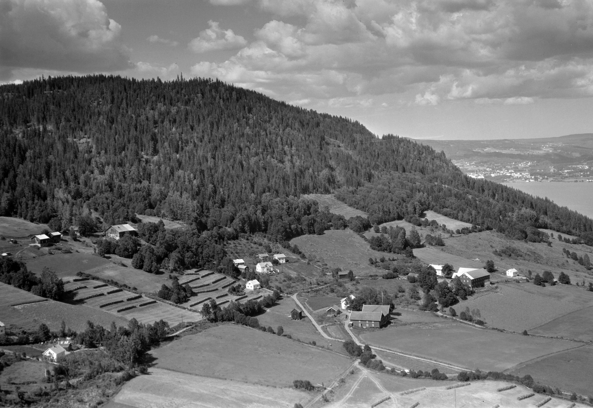 Widerøes Flyveselskap A/S, Flyfoto, gardsbruk, Libakken, Biskoplien, Bangsberget, Nes, Hedmark.