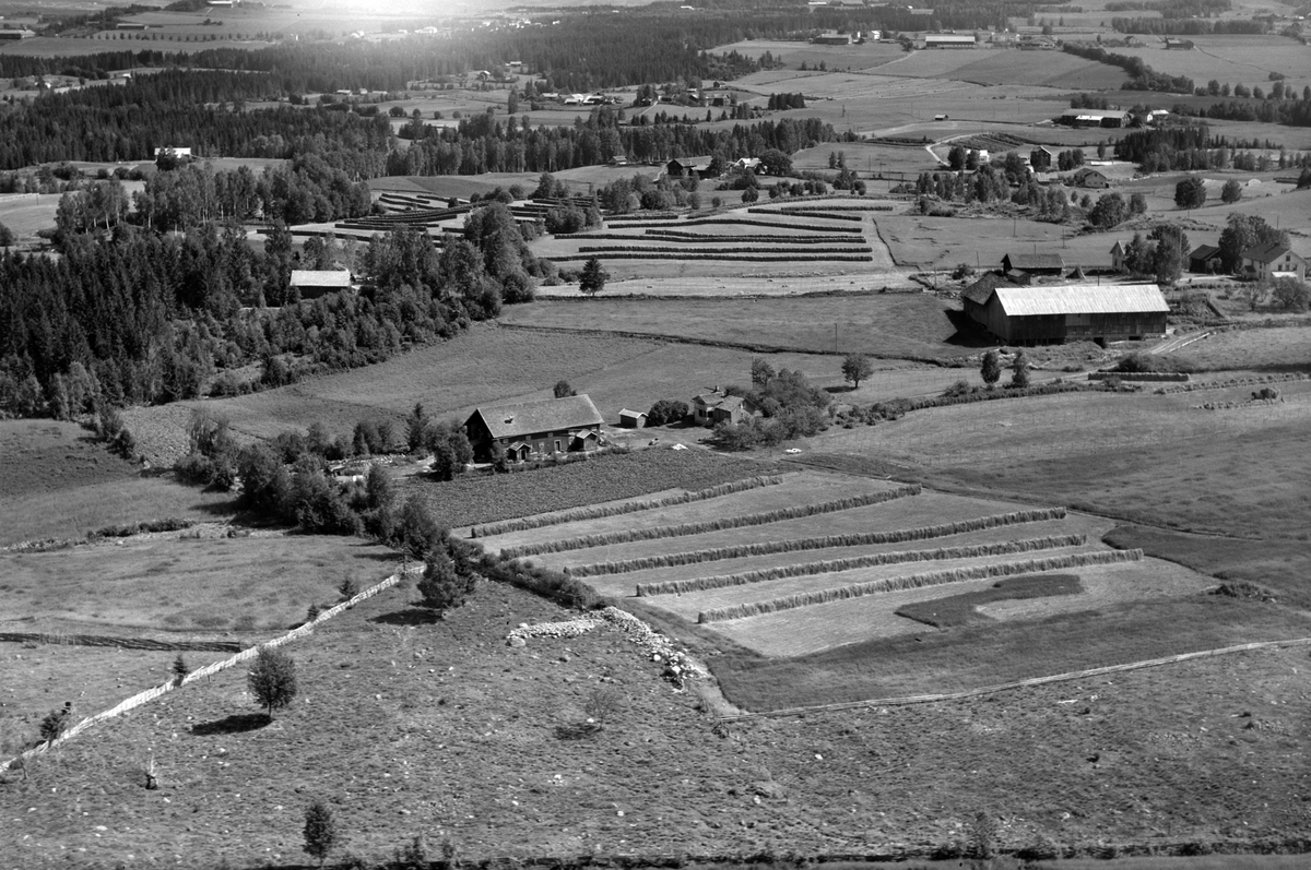 Widerøes Flyveselskap A/S, Flyfoto av Engom og Årsrud gard, Ringsaker.