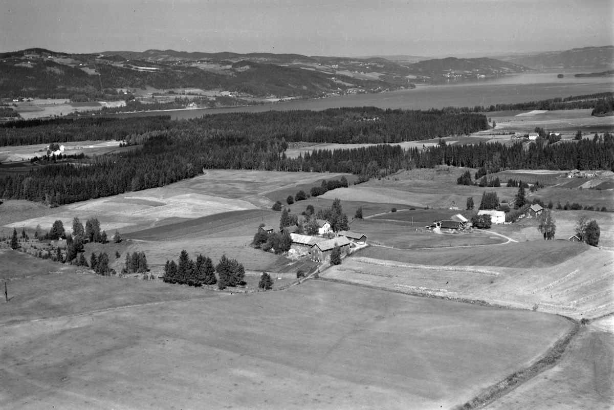Widerøes Flyveselskap A/S, Flyfoto av Haugom nordre, Gaupen, Ringsaker.