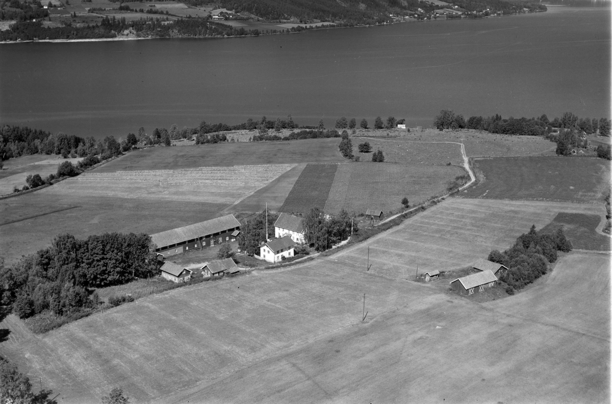 Widerøes Flyveselskap A/S, Flyfoto av Dompidal gard, Gaupen, Ringsaker. Utsikt mot Mjøsa.