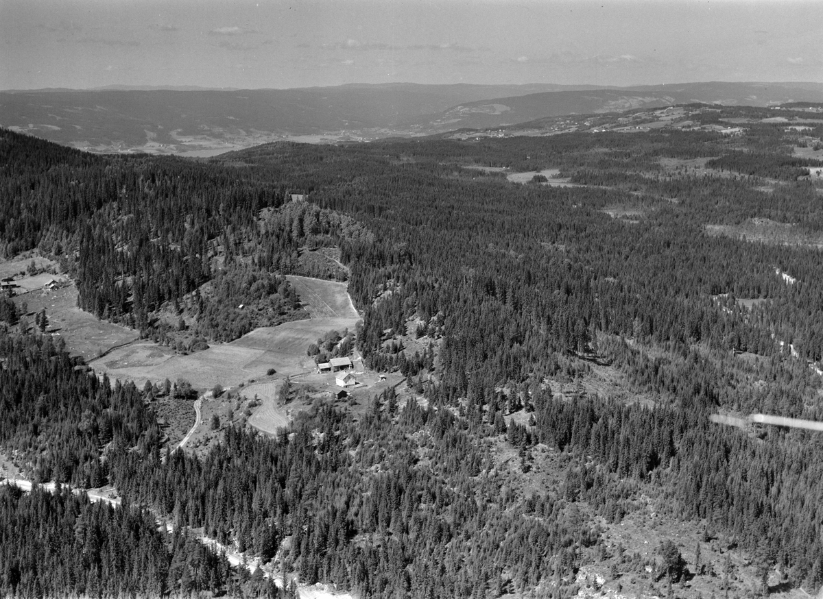 Widerøes Flyveselskap A/S, Flyfoto av Arnestumyra, Ring, Ringsaker.