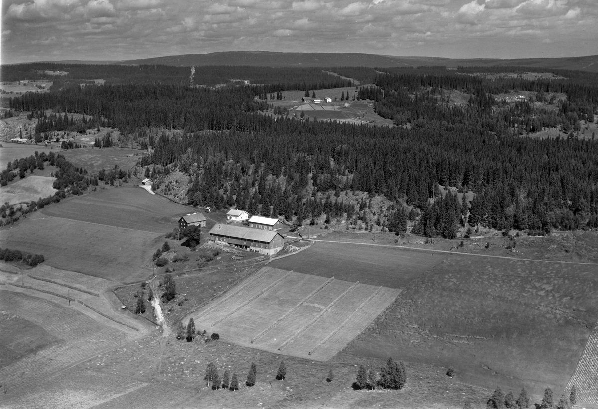 Widerøes Flyveselskap A/S, Flyfoto, Øveråsen, (Aasen), Åsmarka, Ringsaker.