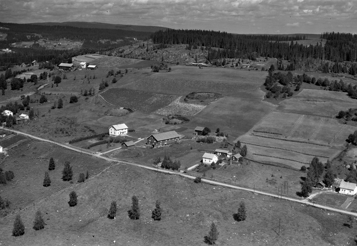 Widerøes Flyveselskap A/S, Flyfoto ,midt i bildet Dagfinnåsen (Daffenåsen) nå bruk som Åsli ridesenter. Oppe i bakgrunnen Bergestuen, oppe til venstre Larsåsen og Åsstuen