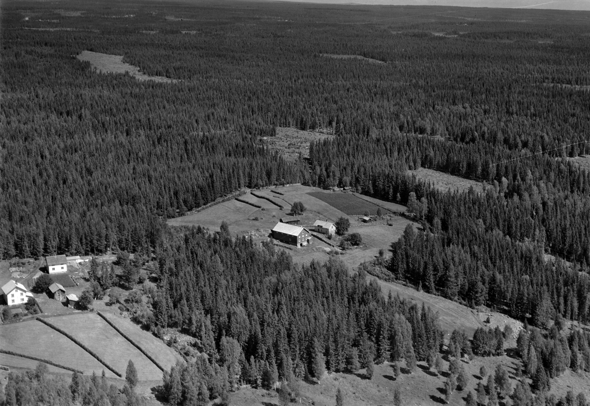 Widerøes Flyveselskap A/S, Flyfoto av Steffenrud, Næroset, Ringsaker.