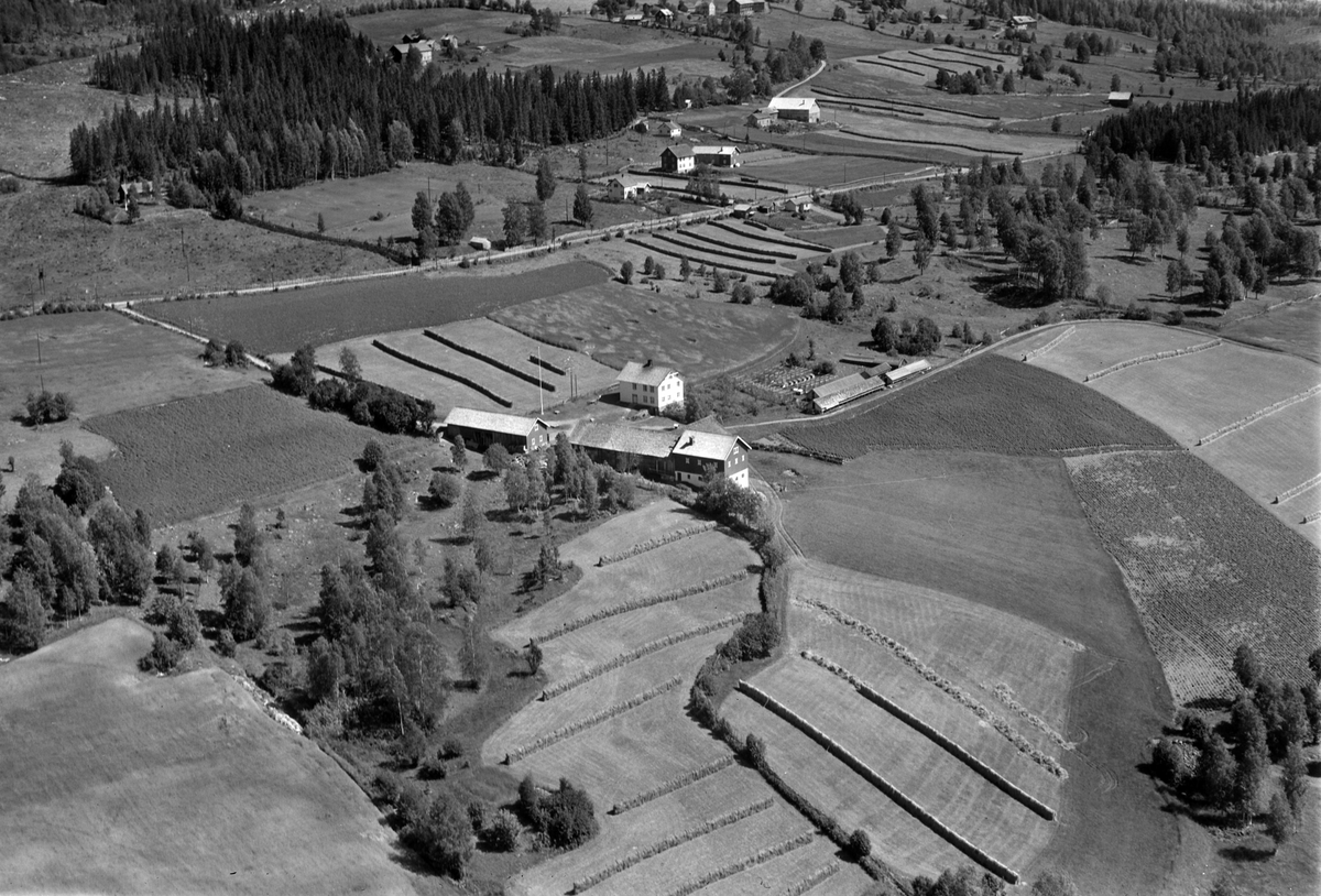 Widerøes Flyveselskap A/S, Flyfoto av Bjerklien søndre i Åsmarka, Ringsaker, åkerlandskap, høyhesjer, slåttonn.