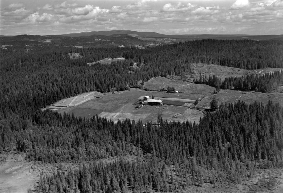 Widerøes Flyveselskap A/S, Flyfoto av ukjent gardsbruk, Ringsaker.