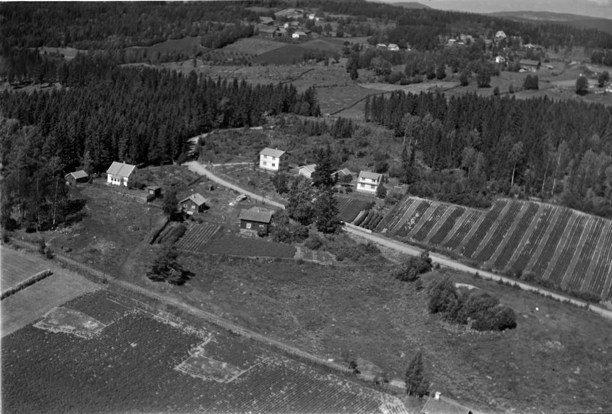 Widerøes Flyveselskap A/S, Flyfoto av ukjent sted, gardsbruk, Ringsaker.