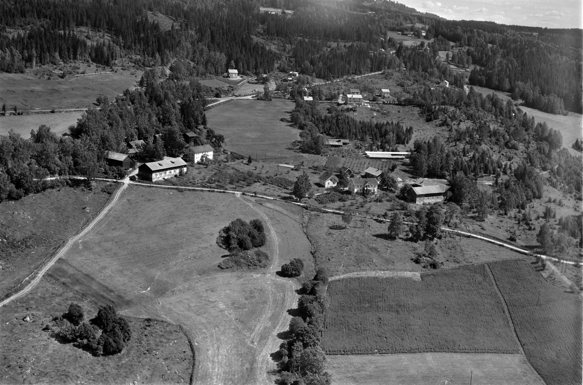 Widerøes Flyveselskap A/S, Flyfoto av Bergseng gard og Bergseng nedre, Brøttum, Ringsaker.