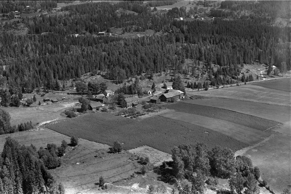 Widerøes Flyveselskap A/S, Flyfoto av gard, trolig Hauknes, Brøttum, Ringsaker.