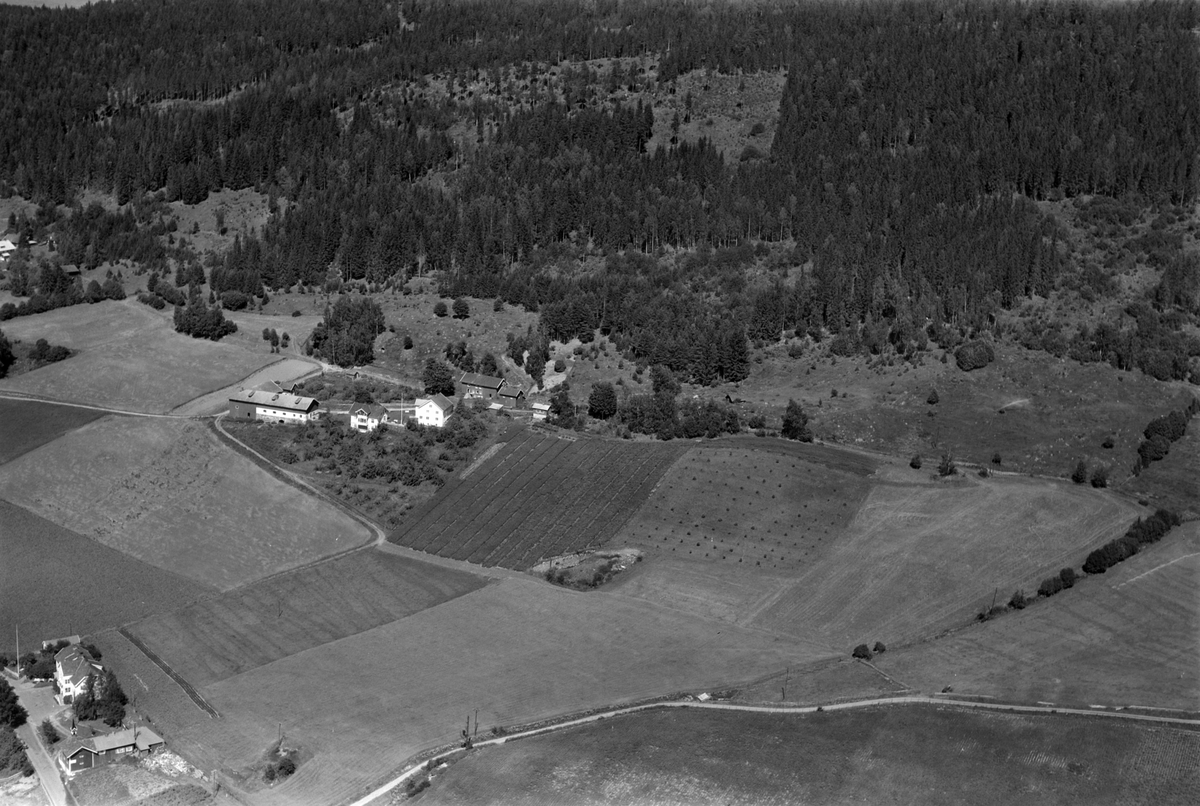 Widerøes Flyveselskap A/S, Flyfoto av Freng midtre, Brøttum, Ringsaker.