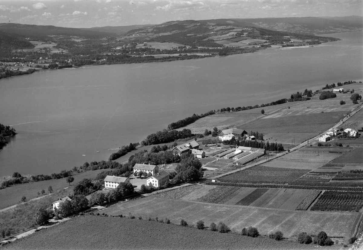 Widerøes Flyveselskap A/S, Flyfoto av Vea Hagebruksskole, Ring, Ringsaker.