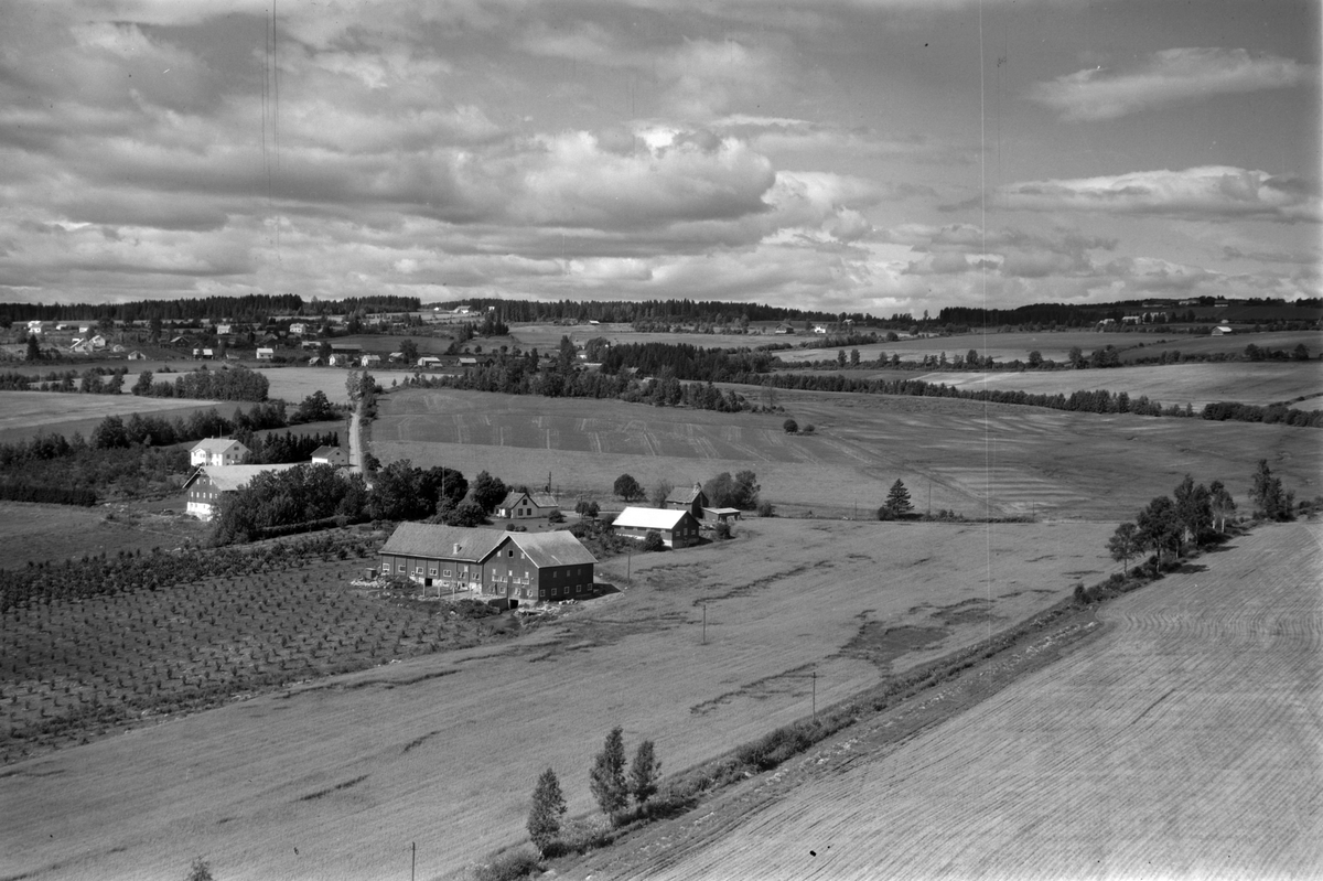 Widerøes Flyveselskap A/S, Flyfoto, gardsbruk, frukttrær, Skjelve østre, Nes, Hedmark.