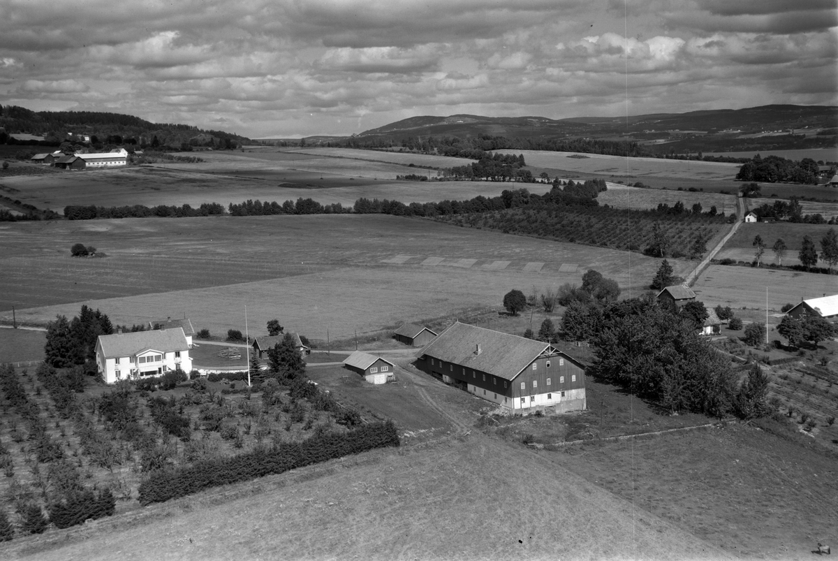Widerøes Flyveselskap A/S, Flyfoto, gardsbruk, Skjelve vestre, Nes, Hedmark.