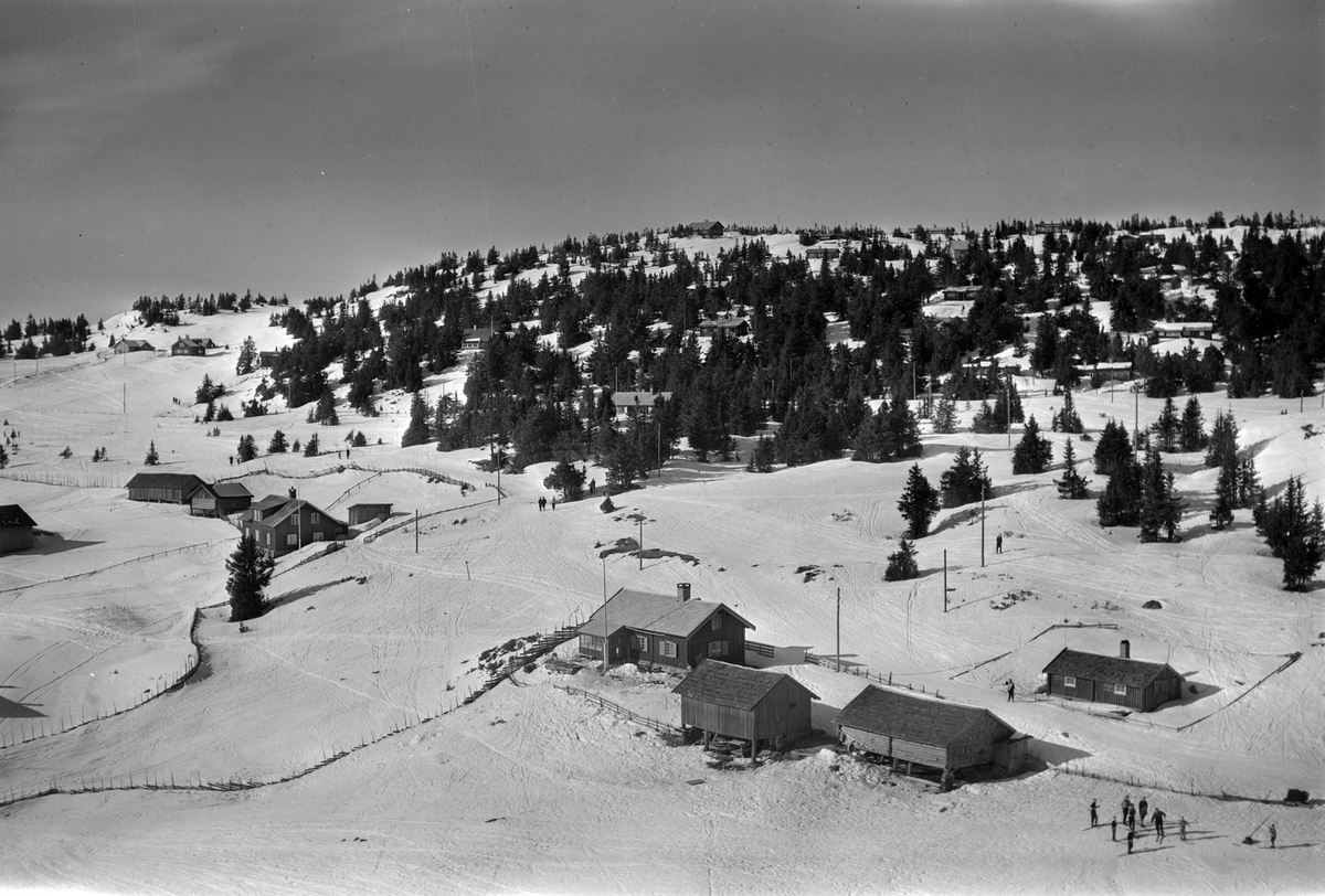 Widerøes Flyveselskap A/S, Flyfoto av bebyggelse i vinterlandskap på Sjusjøen, Ringsaker Almenning.