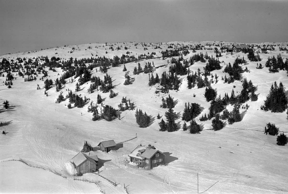 Widerøes Flyveselskap A/S, Flyfoto av bebyggelse i vinterlandskap på Sjusjøen, Ringsaker Almenning.
