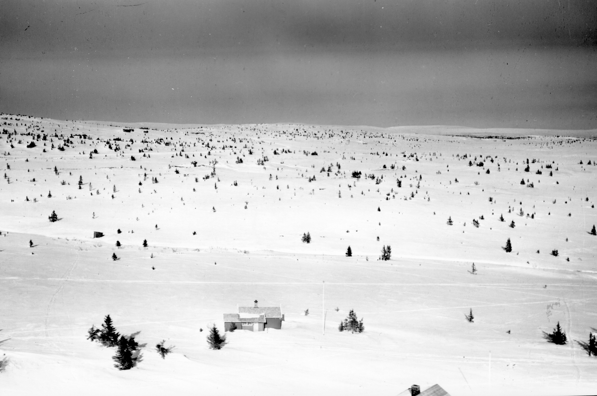 Widerøes Flyveselskap A/S, Flyfoto av bebyggelse i vinterlandskap på Sjusjøen, Ringsaker Almenning.
