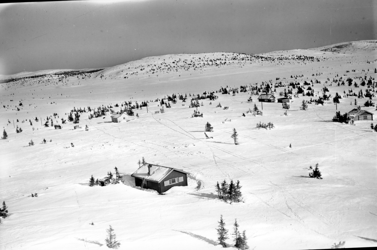 Widerøes Flyveselskap A/S, Flyfoto av bebyggelse i vinterlandskap på Sjusjøen, Ringsaker Almenning.