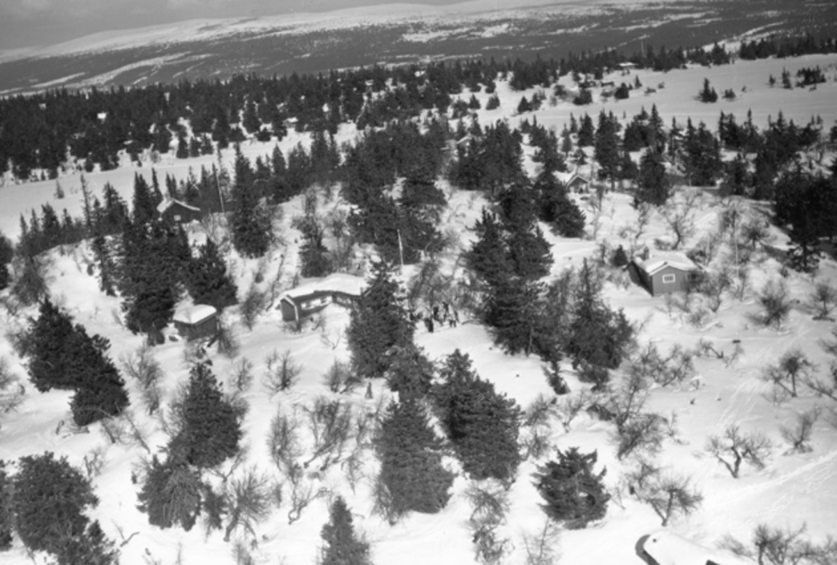 Widerøes Flyveselskap A/S, Flyfoto av bebyggelse i vinterlandskap på Ljøsheim, Ringsaker Almenning.