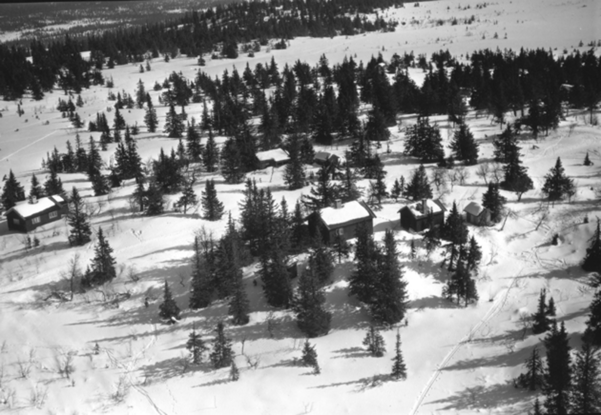 Widerøes Flyveselskap A/S, Flyfoto av bebyggelse i vinterlandskap på Ljøsheim, Ringsaker Almenning.