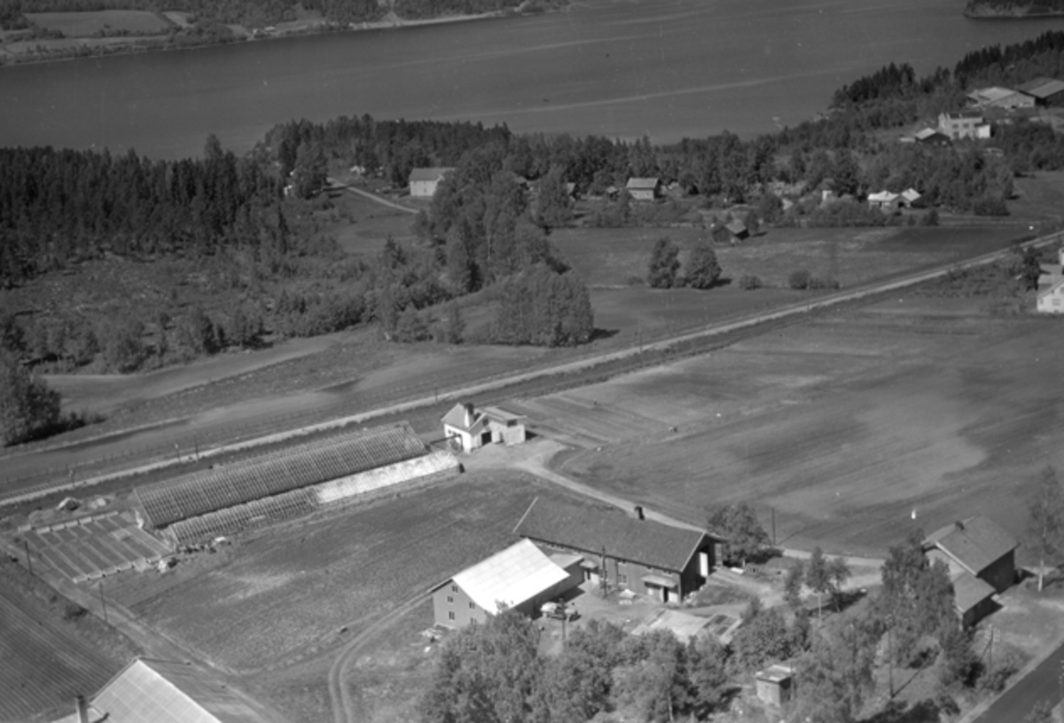 Widerøes Flyveselskap A/S, Flyfoto av Aardal gartneri, Moelv, Ringsaker.