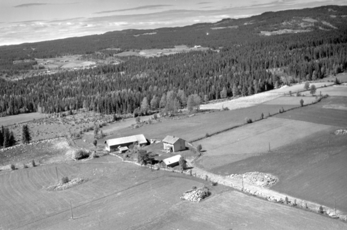 Widerøes Flyveselskap A/S, Flyfoto av ukjent gardsbruk, Ringsaker.