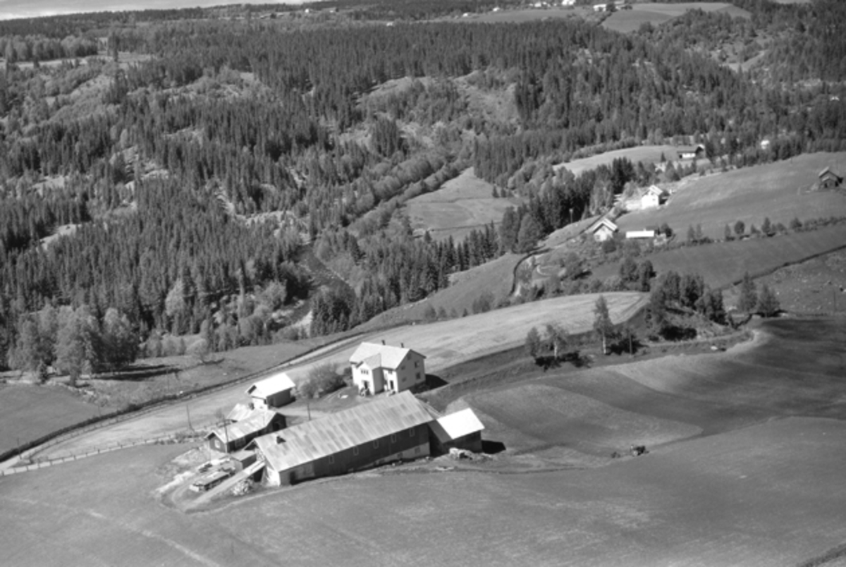 Widerøes Flyveselskap A/S, Flyfoto av Mauset nordre, Nybygda, Ringsaker.