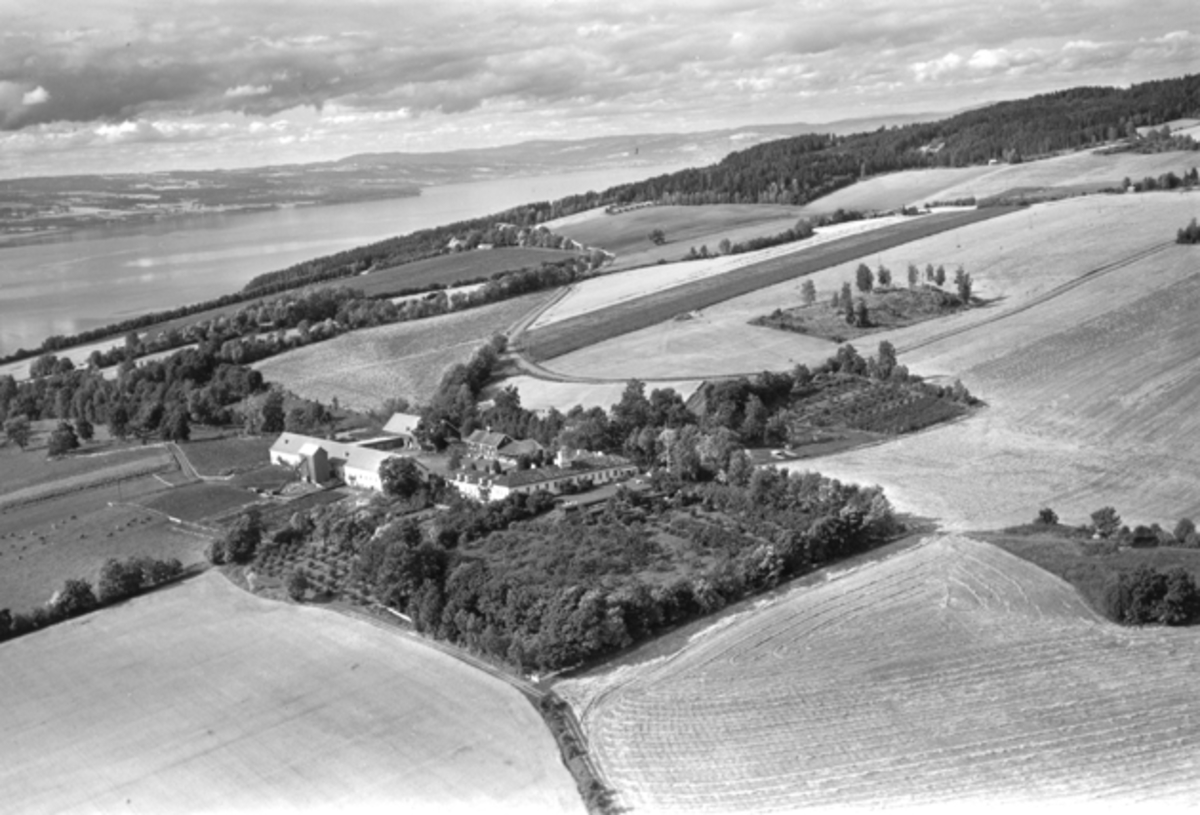 Widerøes Flyveselskap A/S, Flyfoto, gardsbruk, Hovinsholm, Helgøya.