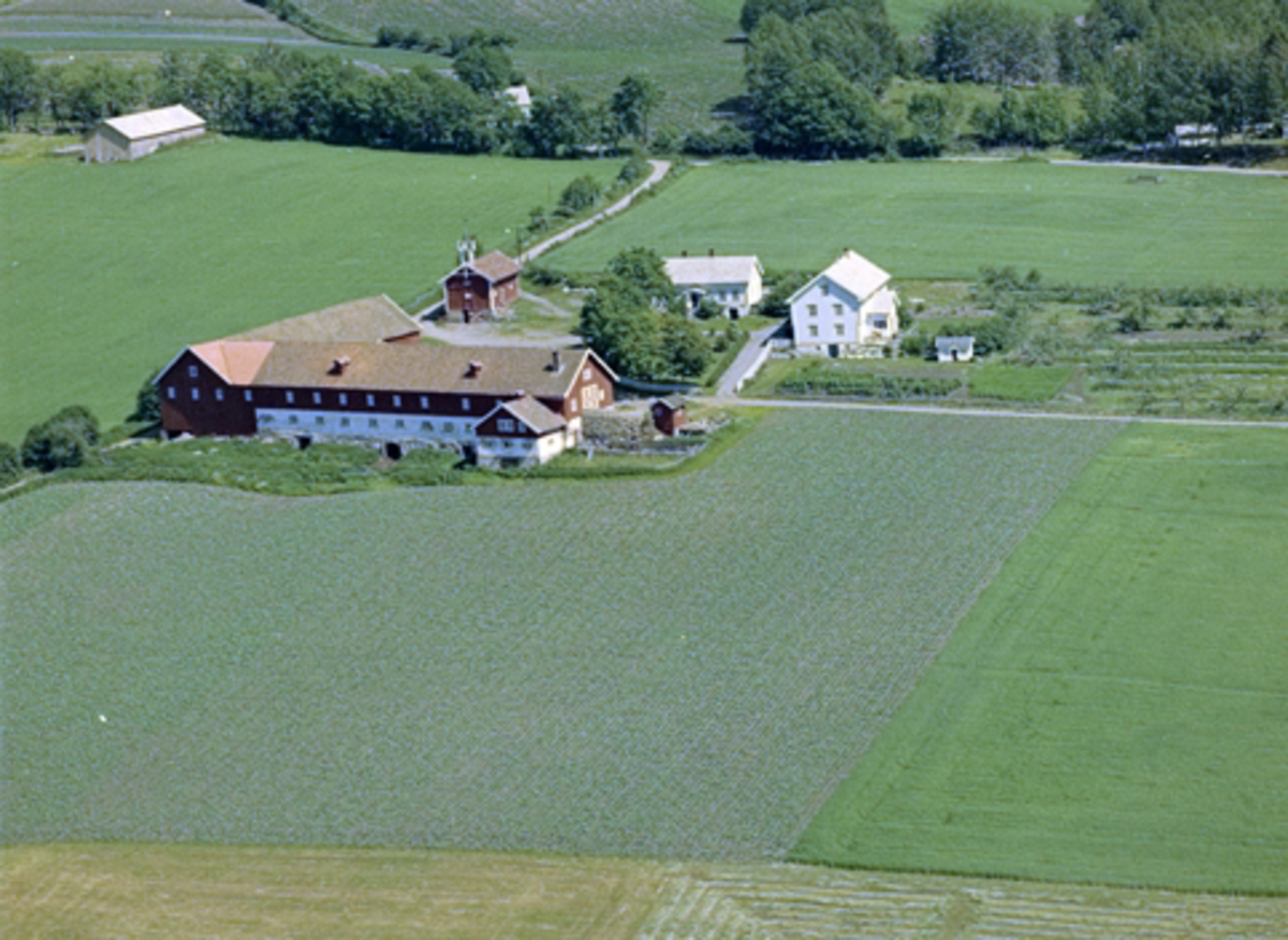 Widerøes Flyveselskap A/S, Flyfoto av Vesle-Ile, Jessnes, Ringsaker.