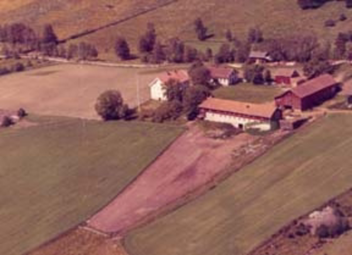 Widerøes Flyveselskap A/S, Flyfoto av Maurud gard, Furnes, Ringsaker.