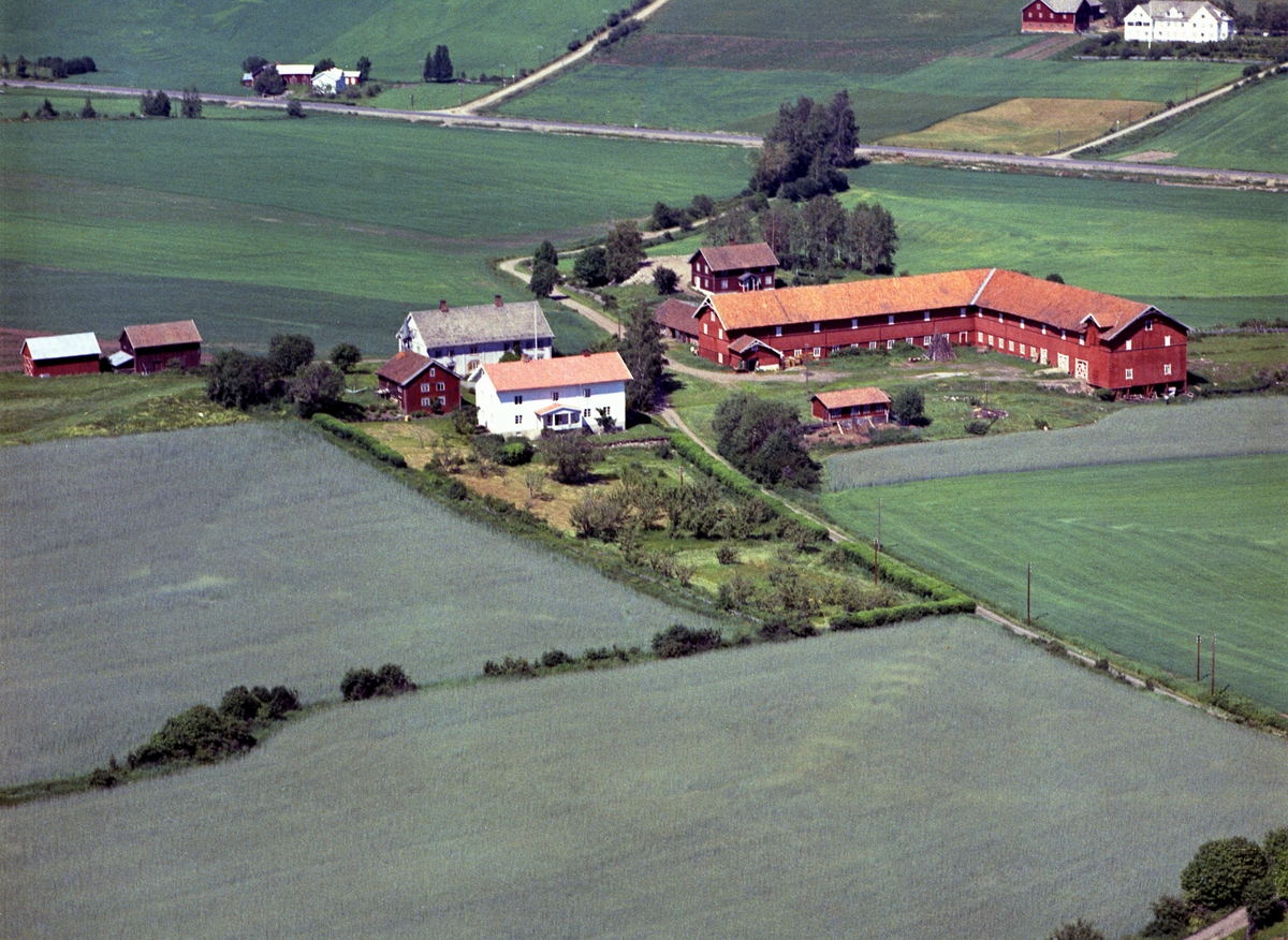 Widerøes Flyveselskap A/S, Flyfoto av Dæli gard, Furnes, Ringsaker.