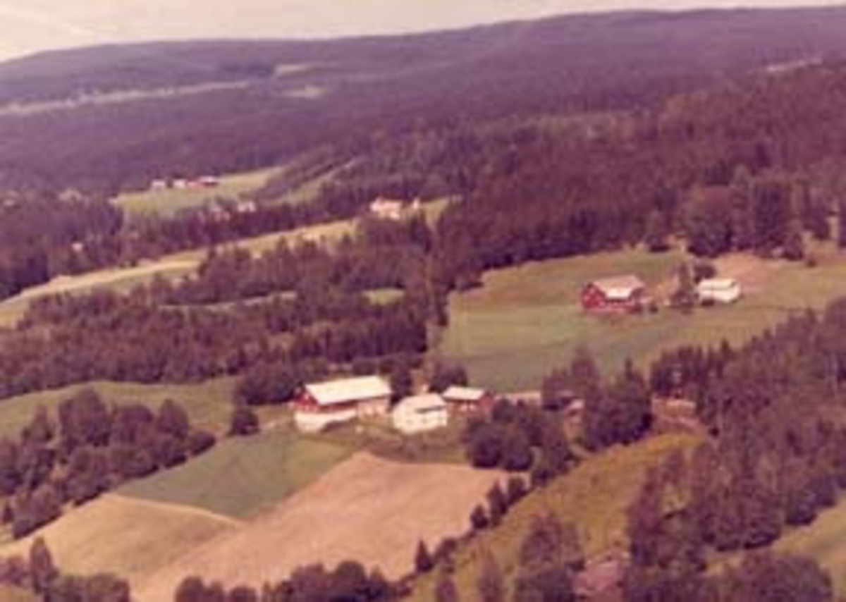 Widerøes Flyveselskap A/S, Flyfoto av Pinnerudbakken, Furnes, Ringsaker. Rønningsbakken til høyre.