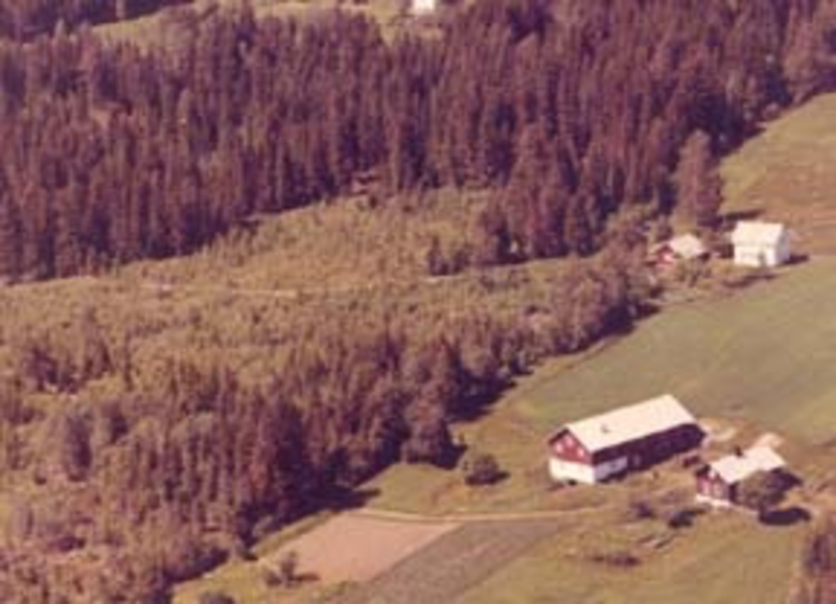 Widerøes Flyveselskap A/S, Flyfoto av Rønningsbakken, Furnes, Ringsaker.