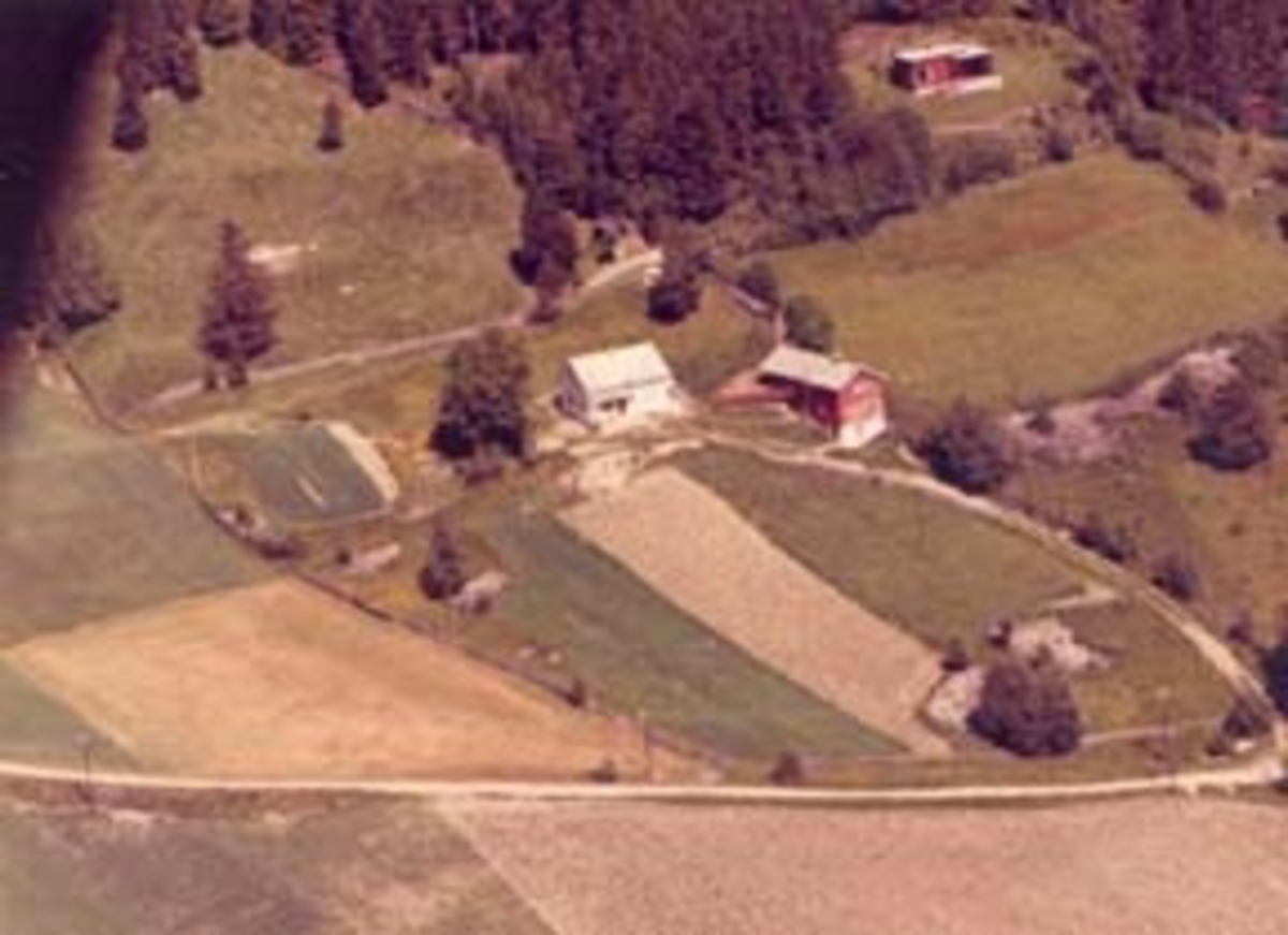 Widerøes Flyveselskap A/S, Flyfoto av Tåsåsbakken, Furnes, Ringsaker.