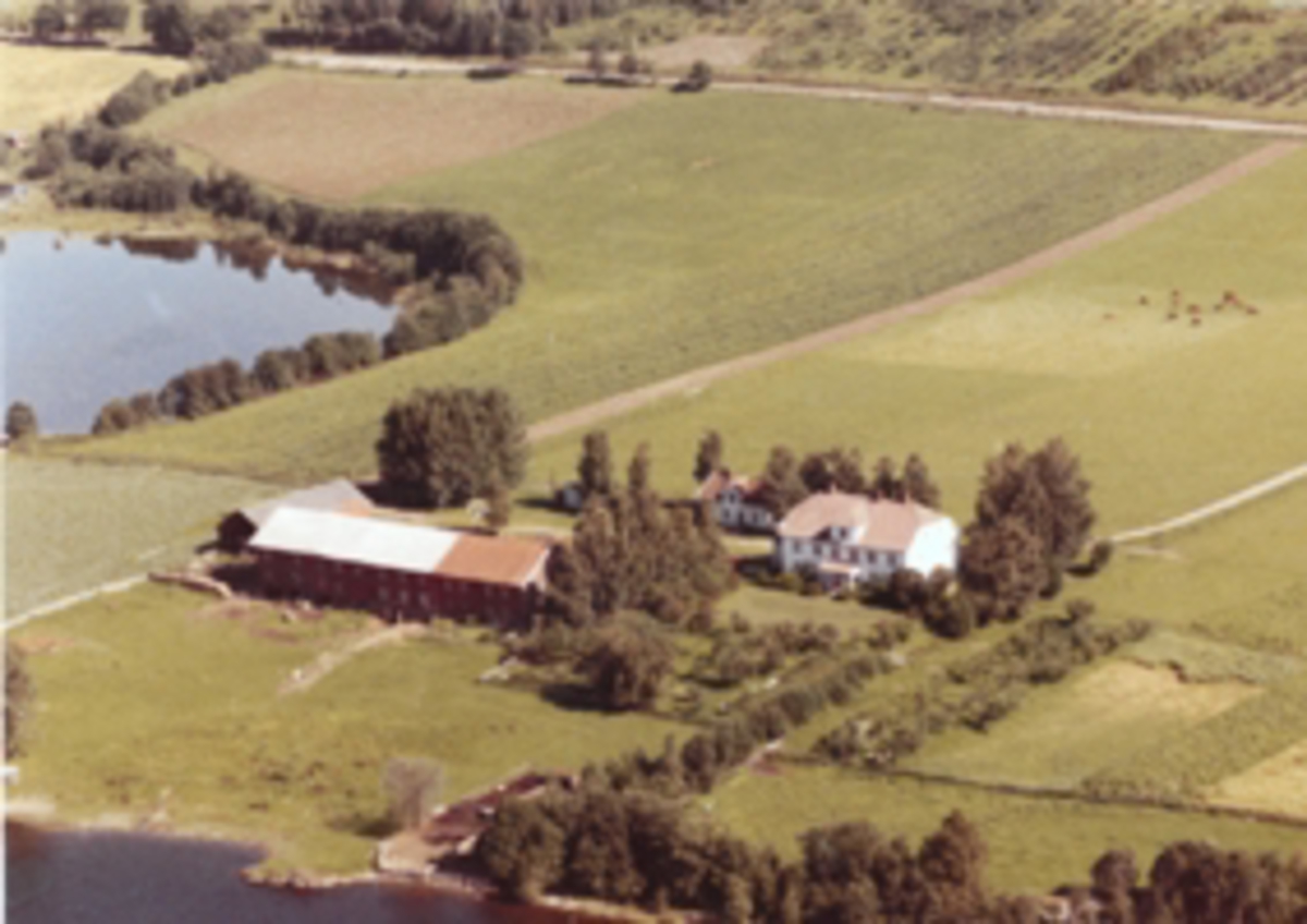Widerøes Flyveselskap A/S, Flyfoto av Vea nedre, Ring, Ringsaker.
