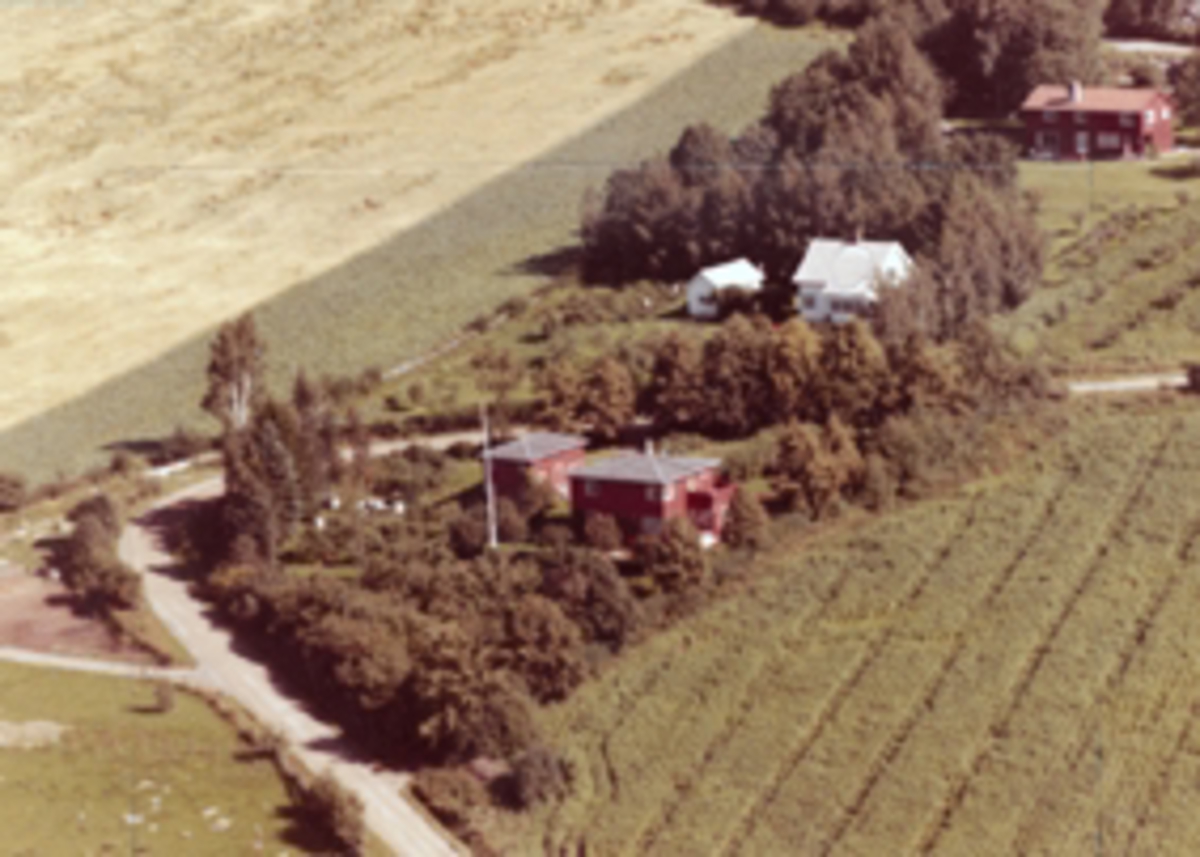 Widerøes Flyveselskap A/S, Flyfoto av bebyggelse, Ring, Ringsaker.