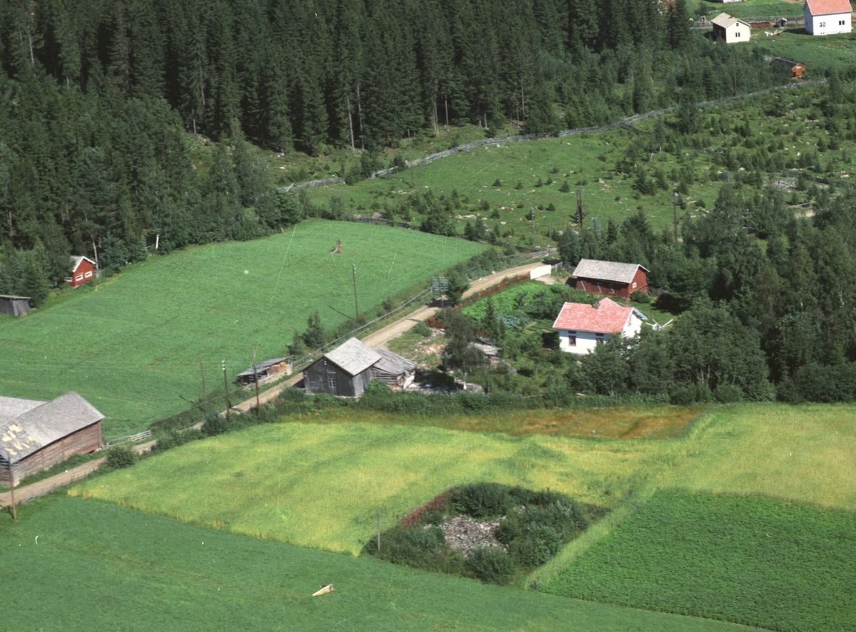 Anno Domkirkeodden, Flyfoto, Svestuen, Fløtlivegen 449, gardsnr 366, bruksnr 24. Næroset.