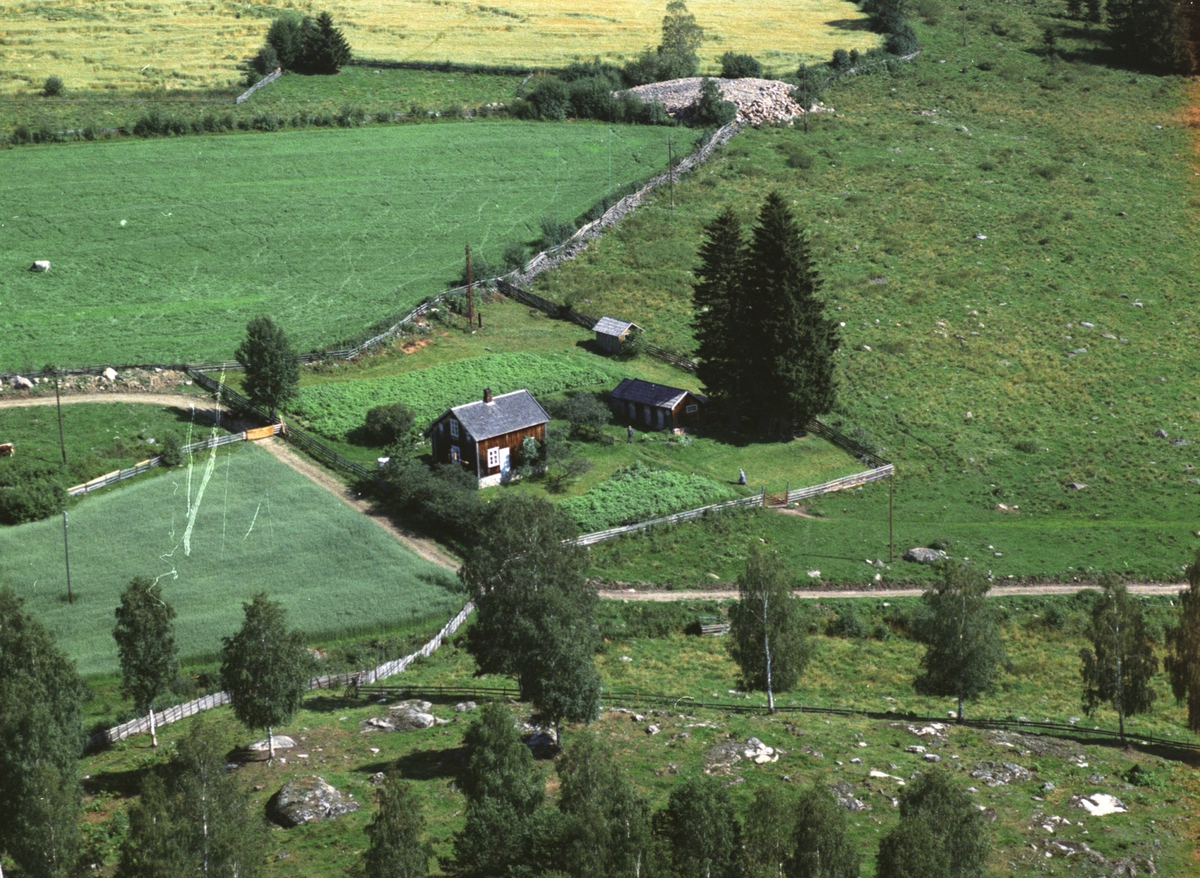 Widerøes Flyveselskap A/S, Flyfoto av ukjent husmannsplass, Næroset?, Ringsaker.